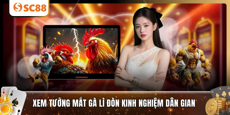 Xem tướng mắt gà lì đòn kinh nghiệm dân gian 